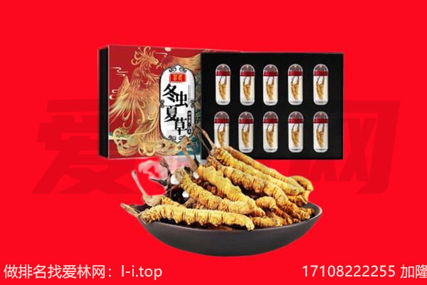 眉山市回收虫草.jpg
